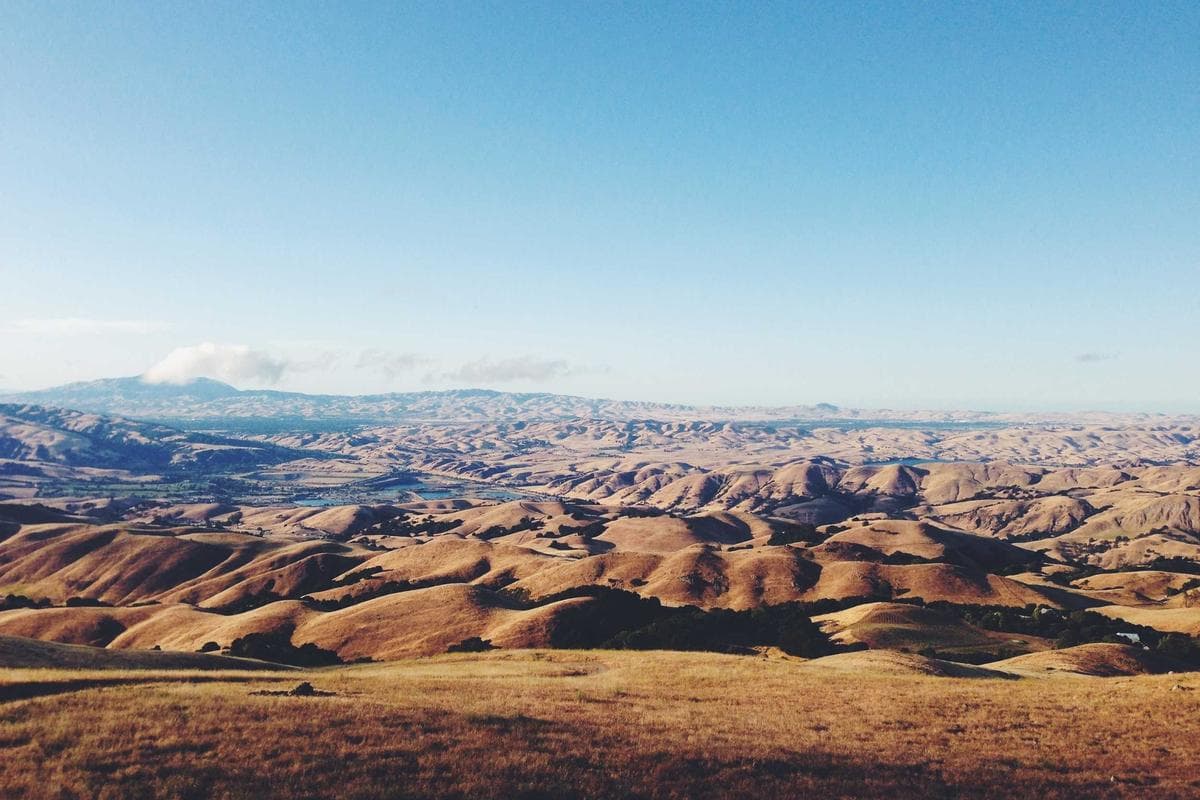 Northfield Harvest — process